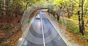 Aerial View of Sinuous Route in Forest