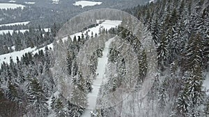 Aerial view of a skier moving through a forest among pine trees. Birds Eye View Above White Powder Snow - Winter Sports