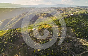aerial view of the slopes of the Douro river valley at sunset, Portugal