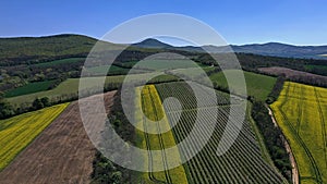 Aerial view of small agricultural rapeseed fields, orchards, bounds, grasllands and hills on lowland of western Slovakia