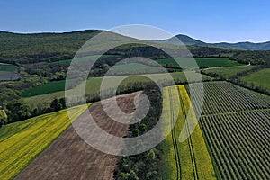 Aerial view of small agricultural rapeseed fields, orchards, bounds, grasllands and hills on lowland of western Slovakia