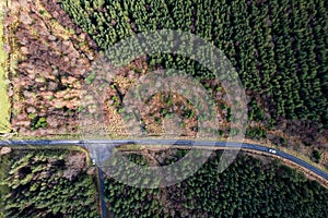 Aerial view on a small narrow road in a green forest. Country side. Drive through a woodland area