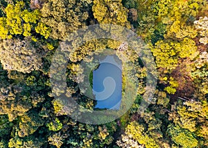 Aerial view of small pond in the middle of Coffee plantation in Coorg district Karnataka, India