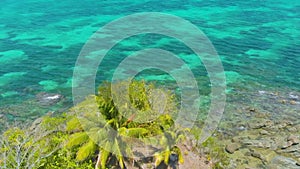 Aerial view of small tropical island with palm tree and coral refs in Balabac, Palawan