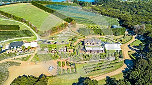 Aerial view on a small vineyard. Waiheke Island, Auckland, New Zealand.