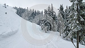 Aerial view of the snow-covered Christmas tree in mountains with road