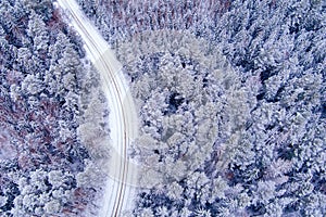 Aerial view of snow covered forest with road