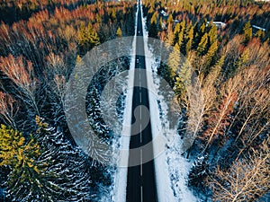 Aerial view of snow covered trees in forest and winter country road with a car