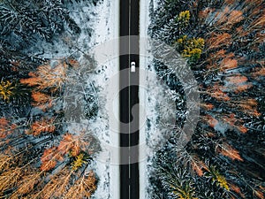 Aerial view of snow covered trees in forest and winter country road with a car