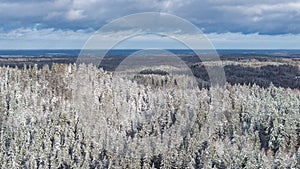 Aerial view of snow-covered Vallamagi hill with forest and Haanja upland in Voru county, Estonia