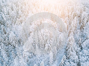 Aerial view of the snow forest landscape  in winter season in Finland