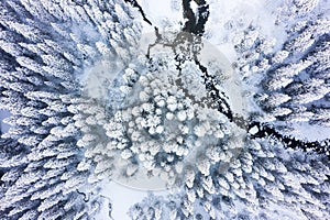 Aerial view of snowy trees in winter forest with river. Winter christmas holiday background