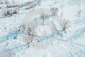 Aerial view of snowy wasteland with bare trees