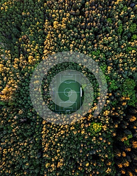 Aerial view of a soccer field in the forest