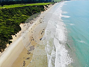 Aerial view of soft ocean waves with foam on a sandy beach