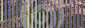 Aerial view of the solar panel in solar farm for green energy BANNER, LONG FORMAT