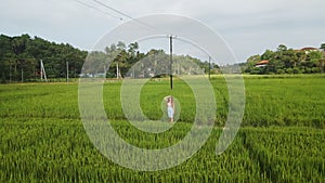 Aerial view of solo woman in dress stands in rice field. Serene tropical landscape embrace, explore rural Asia. Traveler