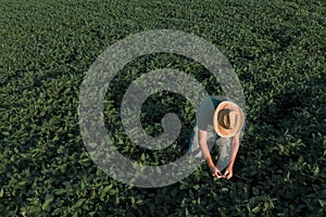 Aerial view of soybean farmer working in the field from drone pov