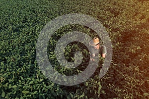 Aerial view of soybean farmer working in the field from drone pov