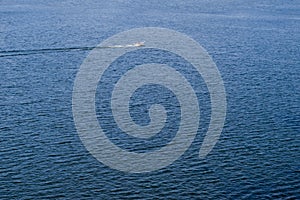 Aerial view of speeding boat in sea. Speed boat at sea. View from above. Speedboat floating in a turquoise blue sea water. Motorbo