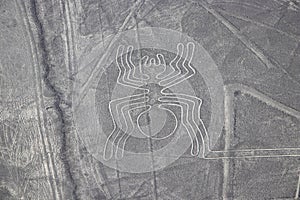 Aerial View of the Spider Nazca Lines