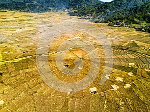 Aerial view of spider rice fields photo