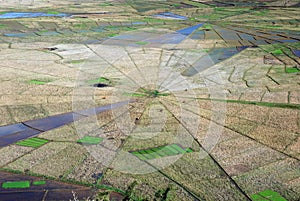 Aerial view spiders web shaped rice fields