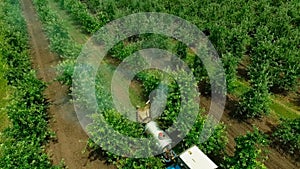 Aerial view of the Sprayer for Applying Fungicides in the Apple Orchard.Slow Motion