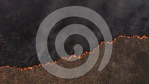 Aerial view of spring dry grass burning field. Fire and smoke in the meadow, nature pollution and danger, shrubs and common waste