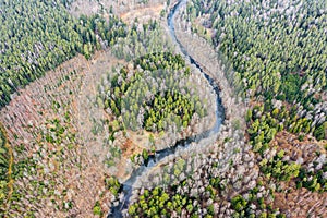 Aerial view of spring forest landscape and winding river in Belarus