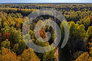 Aerial view of spring forest with new leaves on deciduous trees