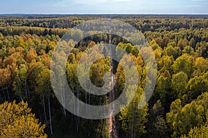 Aerial view of spring forest with new leaves on deciduous trees