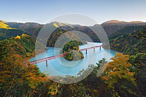 Aerial view of the steam train crossing Oigawa Railroad to go to station with red fall foliage in forest mountain hills and blue