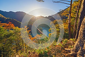 Aerial view of the steam train crossing Oigawa Railroad to go to station with red fall foliage in forest mountain hills and blue