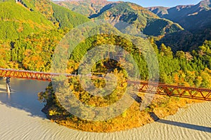 Aerial view of the steam train crossing Oigawa Railroad to go to station with red fall foliage in forest mountain hills and blue