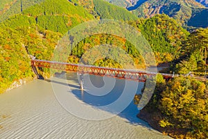 Aerial view of the steam train crossing Oigawa Railroad to go to station with red fall foliage in forest mountain hills and blue