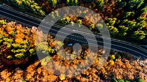 Aerial view of straight forest road in the mountains. Colourful landscape with rural road, trees with yellow leaves at sunset