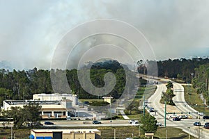 Aerial view of strong wildfire burning severely in North Port city, Florida. Natural disaster during dry season in