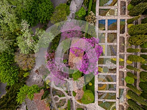 Aerial view of the stunning Balchik botanical garden in Bulgaria during the spring season. Witness the lush greenery and