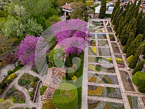 Aerial view of the stunning Balchik botanical garden in Bulgaria during the spring season. Witness the lush greenery and