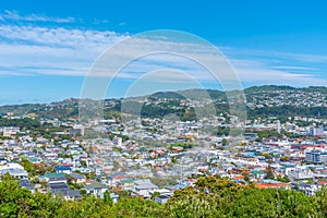 Aerial view of suburb of Wellington in New Zealand
