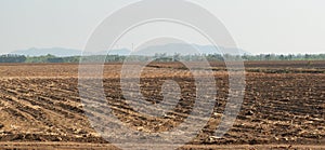 Aerial view of sugar cane plantation