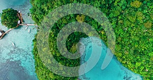 Aerial view of Sugba lagoon. Beautiful landscape with blue sea lagoon, National Park, Siargao Island, Philippines