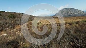 Aerial view of summer farm fields with dried soil. Shot. Agriculture industry concept, endless rows of plants growing on