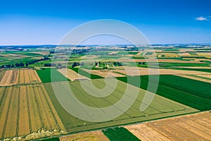 Aerial view of summer fields, harvest time, fields from above. Agricultural fields on a summer day
