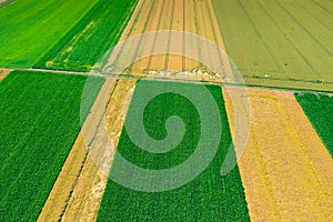 Aerial view of summer fields, harvest time, fields from above. Agricultural fields on a summer day