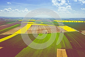 Aerial view of summer fields. Yellow fields from above. Photo captured with drone