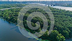 Aerial view summer forest and river in sunny day. Drone shot beautiful nature