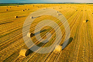 Aerial View Of Summer Hay Rolls Straw Field Landscape In Evening. Haystack, Hay Roll in Sunrise Time