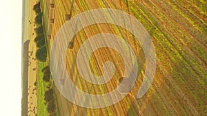 Aerial View Of Summer Hay Rolls Straw Field Landscape In Evening. Haystack, Hay Roll in Sunrise Time. Natural